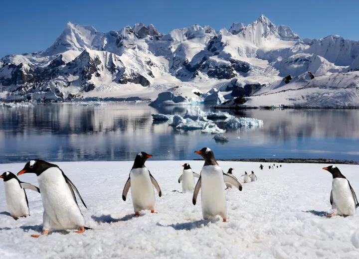 Vast icy expanse with glaciers and frozen sea, perfect for showcasing a dramatic and remote Antarctica adventure.