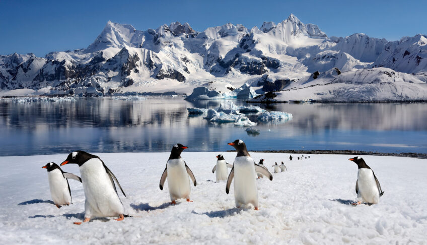 Vast icy expanse with glaciers and frozen sea, perfect for showcasing a dramatic and remote Antarctica adventure.