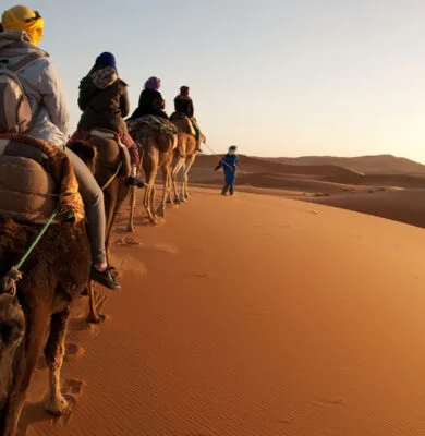 Escorted / Guided Tours