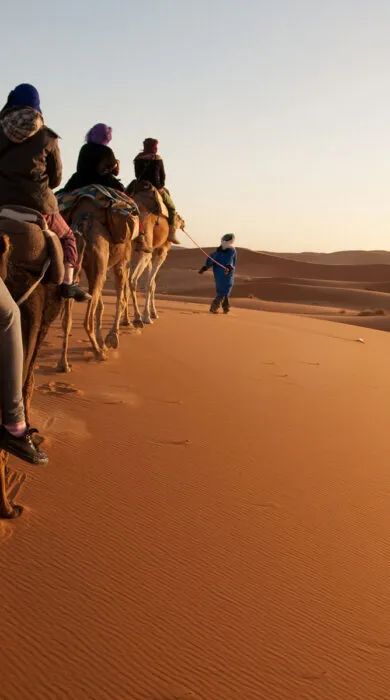Luxury camel trek through desert landscape, ideal for exotic group adventures and cultural travel experiences