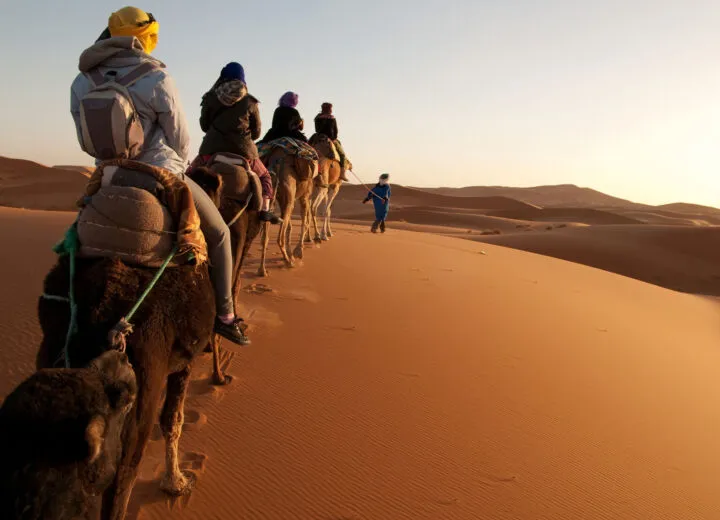 Luxury camel trek through desert landscape, ideal for exotic group adventures and cultural travel experiences