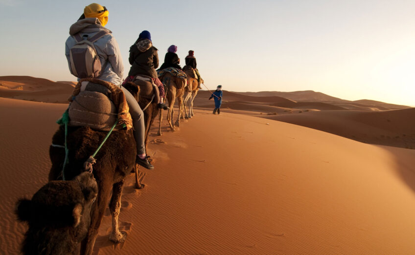 Luxury camel trek through desert landscape, ideal for exotic group adventures and cultural travel experiences