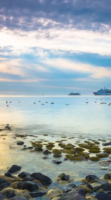 Premium cruise ships docked at port with Travel Adventures Unlimited, showcasing top cruise lines and luxury travel experiences