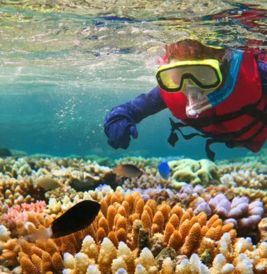 Australia & New Zealand