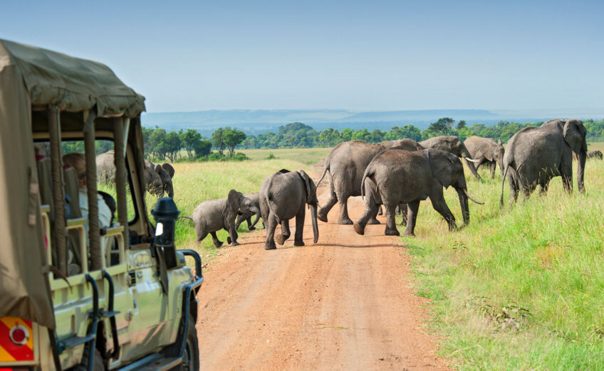 Travelers on a safari tour in open jeep, watching animals roam the savannah under a sunny sky